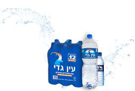 מים מינרליים עין גדי