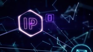 כתובת IP כתובת IP